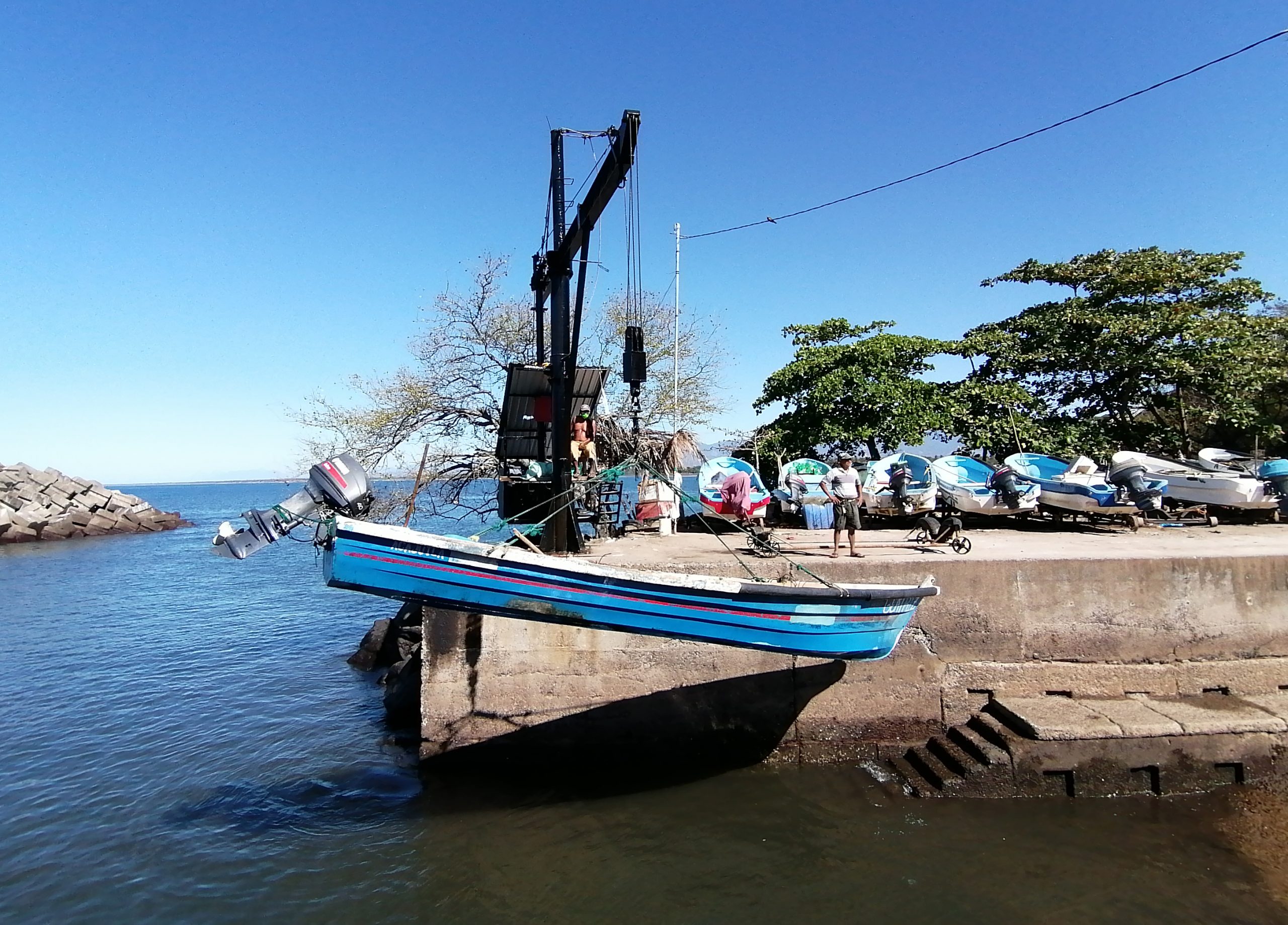 img202202060935341