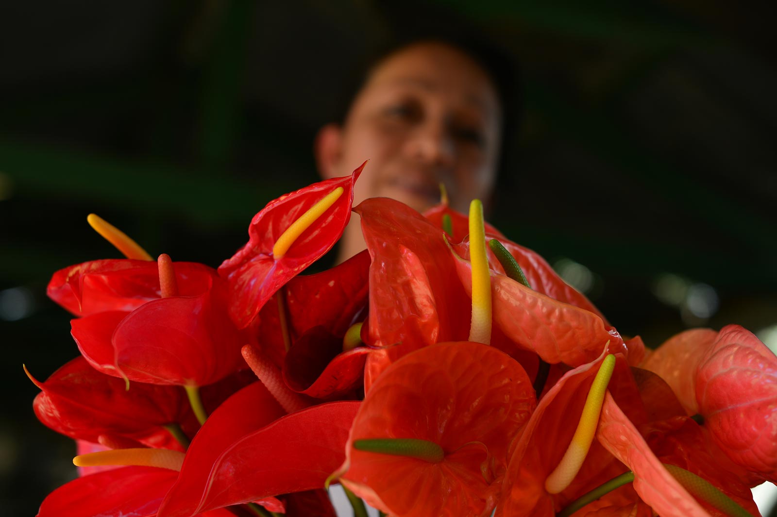 florers-mc040