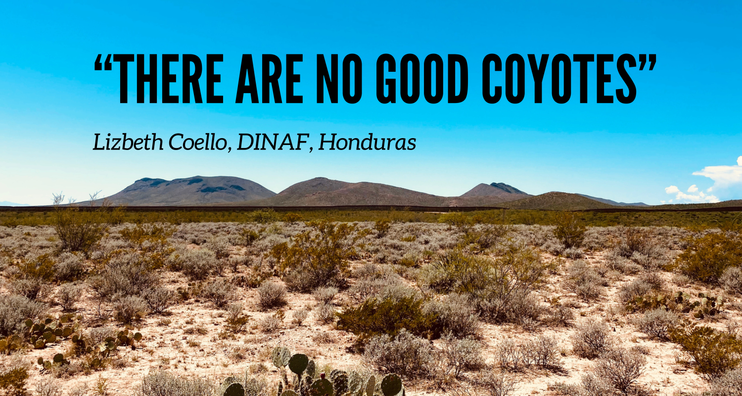 "There are No Good Coyotes"