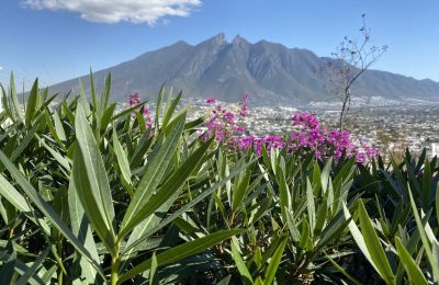 Mexican Immigration Authorities Combat Human Trafficking