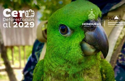 Honduras Manages Declaration for 2 Protected Areas in Gracias a Dios and Yoro