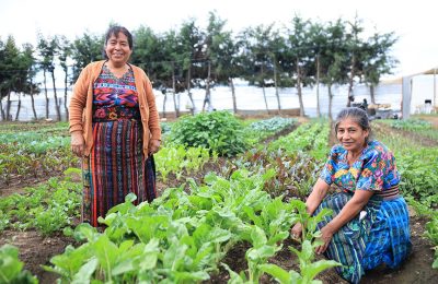 Strengthening Food Access in Guatemala with Community Gardens