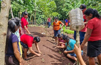 Preparing Land for Community Gardens in Olopa