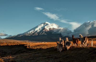 Ecuador: First Herbal and Historical Fair