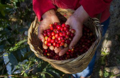 Honduras Posts 2.4% GDP Surplus, Boosted by Exports and Remittances